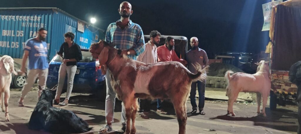 Pune Crime News: 15 High-Value Bakrid “Mega Goats” Stolen in Shirur, One Recovered in Kondhwa
