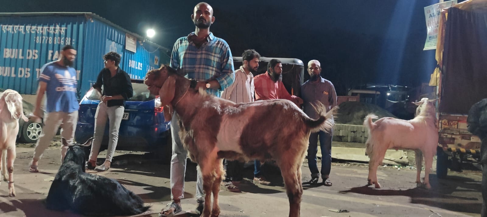 Pune Crime News: 15 High-Value Bakrid “Mega Goats” Stolen in Shirur, One Recovered in Kondhwa